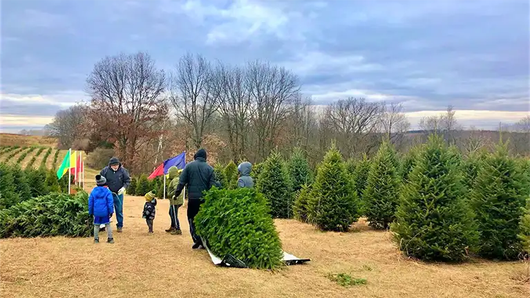 Enchanted Valley Acres, LLC