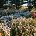 Eugster's Farm Market