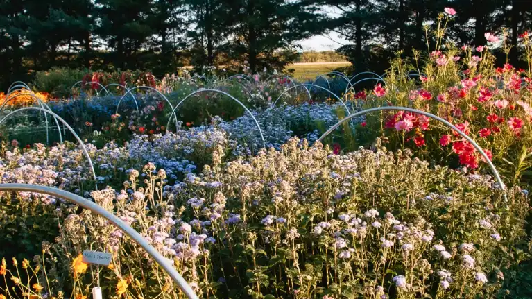 Eugster's Farm Market