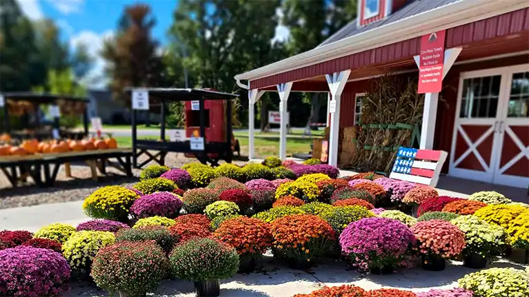 Feltz’s Dairy Store