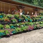 Gramma Miller's Market & Cafe