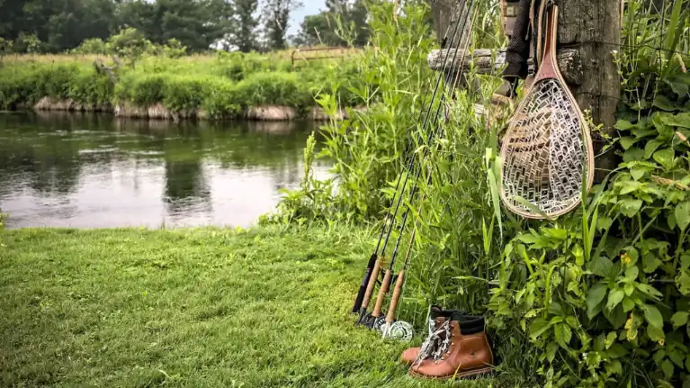 Green Pastures Family Farm