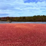 Hayward Lakes Visitor & Convention Bureau