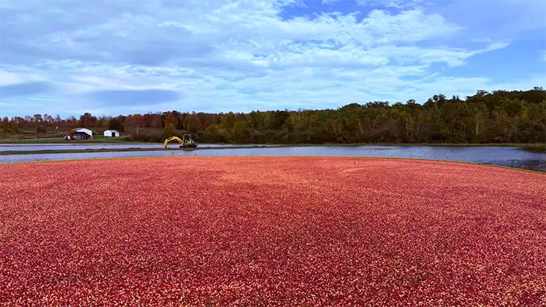 Hayward Lakes Visitor & Convention Bureau