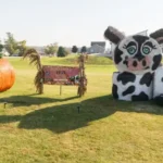 Heim's Hillcrest Dairy LLC