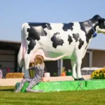 Heim's Hillcrest Dairy LLC