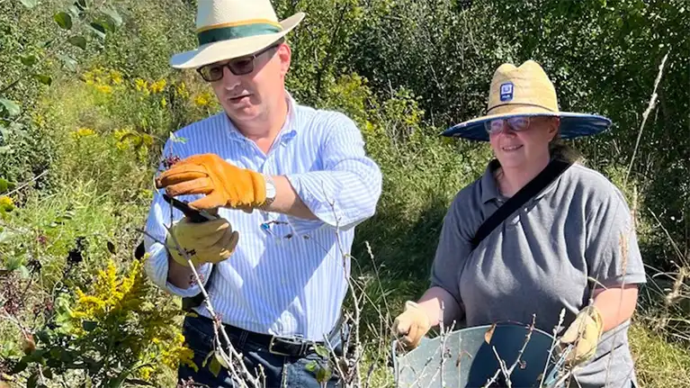 Herbal Safari at Bull Brook Keep