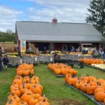 Hidden Trails Corn Maze