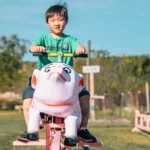 Hidden Trails Corn Maze