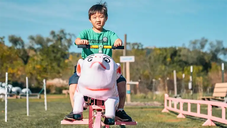 Hidden Trails Corn Maze