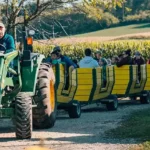 Hidden Trails Corn Maze