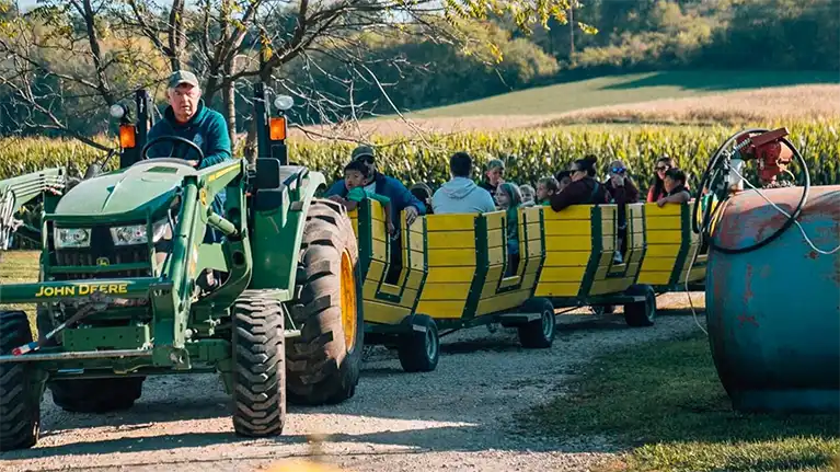 Hidden Trails Corn Maze