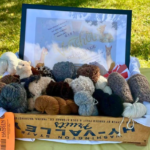 Hill and Valley Exploration Tour 5 150x150