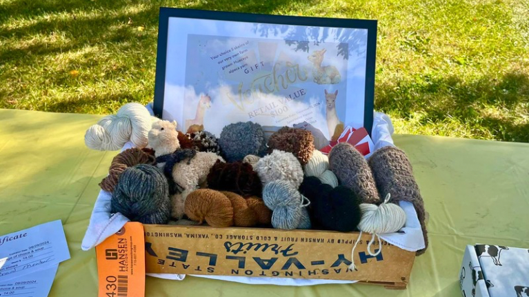 Hill and Valley Exploration Tour 5