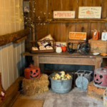 Janestead Farm Blake and Madisons Pumpkin Patch 3 150x150