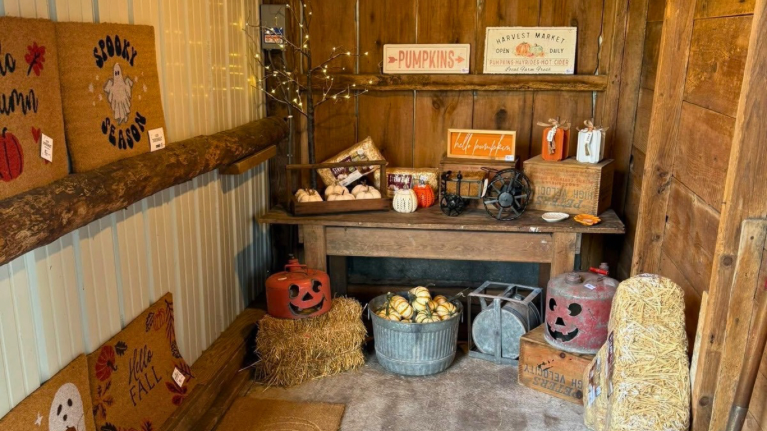 Janestead Farm Blake and Madisons Pumpkin Patch 3