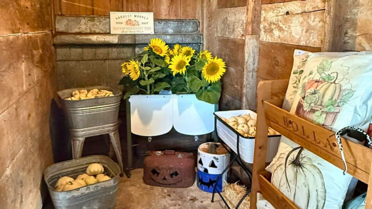 Janestead Farm Blake and Madisons Pumpkin Patch 5