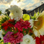 Lautenbachs Orchard Country Winery Market 1 2 150x150