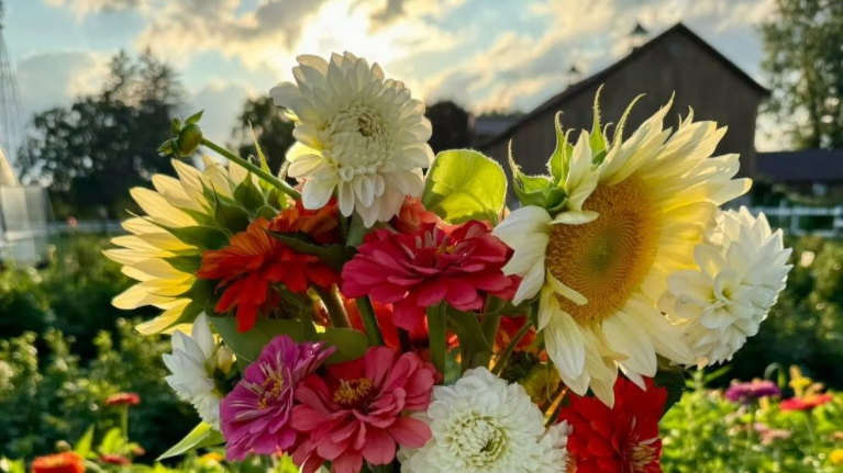 Lautenbachs Orchard Country Winery Market 1 2