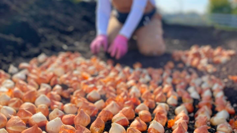 Lautenbachs Orchard Country Winery Market 2 2