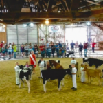 Lautenbachs Orchard Country Winery Market 2 4 150x150