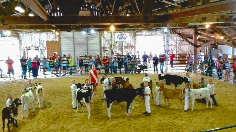 Lautenbachs Orchard Country Winery Market 2 4