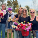 Lautenbachs Orchard Country Winery Market 3 2 150x150