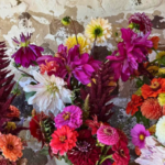 Lautenbachs Orchard Country Winery Market 4 2 150x150