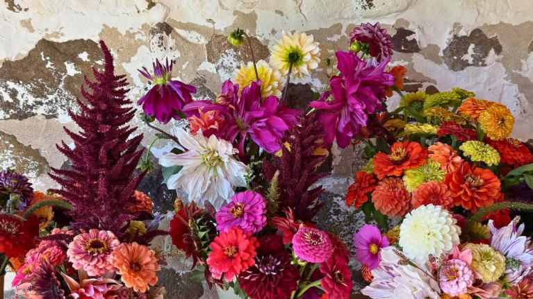 Lautenbachs Orchard Country Winery Market 4 2