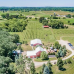 Lautenbachs Orchard Country Winery Market 4 5 150x150