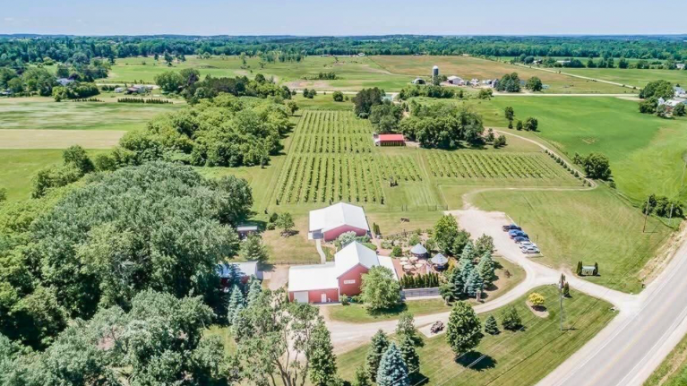 Lautenbachs Orchard Country Winery Market 4 5