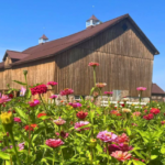 Lautenbachs Orchard Country Winery Market 5 2 150x150