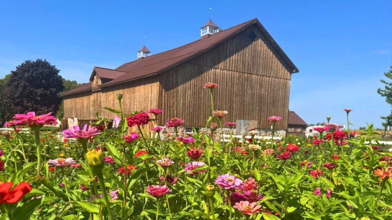 Lautenbachs Orchard Country Winery Market 5 2