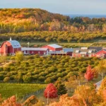 Lautenbach's Orchard Country Winery & Market
