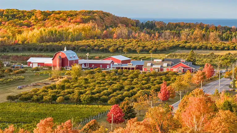 Lautenbach's Orchard Country Winery & Market