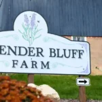 Lavender Bluff Farm