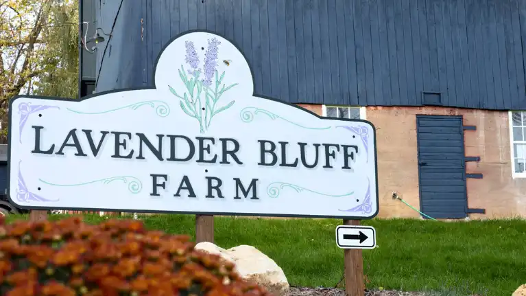 Lavender Bluff Farm