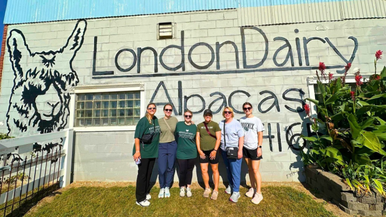 LondonDairy Alpacas 4