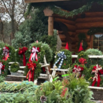 Lonely Oak Farm 1 1 150x150