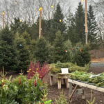 Lonely Oak Farm 2 1 150x150