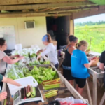 Lonely Oak Farm 3 150x150