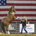 Midwest Horse Fair
