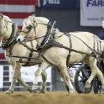 Midwest Horse Fair
