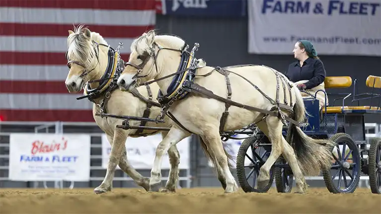 Midwest Horse Fair