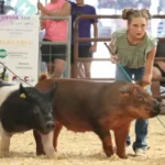 Monroe County Ag Society