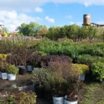 Natures Touch Garden Center and Activity Center1 150x150