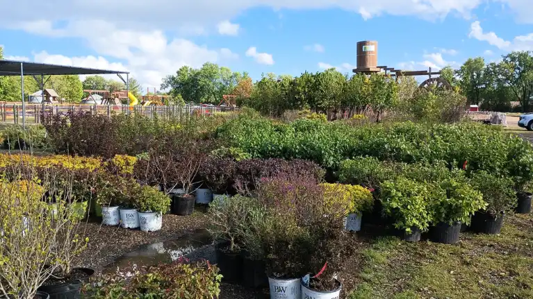 Natures Touch Garden Center and Activity Center1