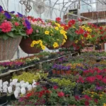 Natures Touch Garden Center and Activity Center2 150x150