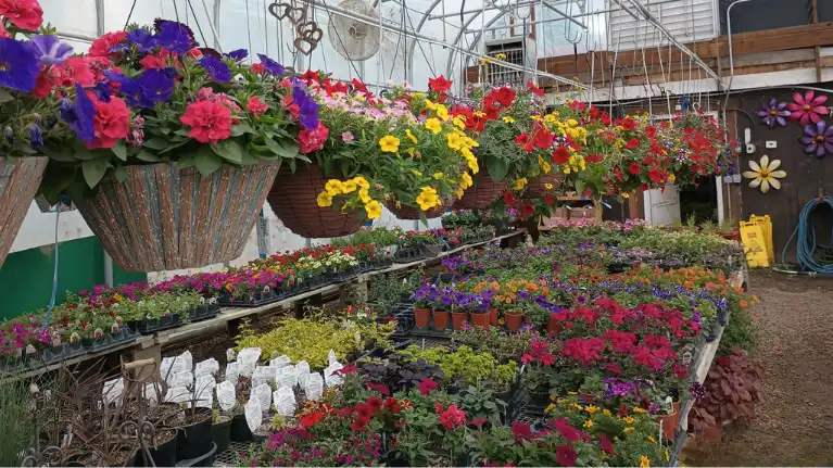 Natures Touch Garden Center and Activity Center2