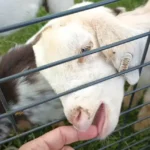 Natures Touch Garden Center and Activity Center5 150x150